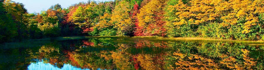 County Title Company, Peoria IL